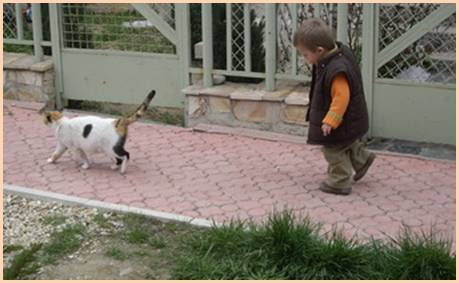 bo i kote@.jpg
